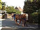 DSCF0298.JPG
