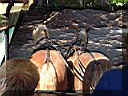 DSCF0310.JPG